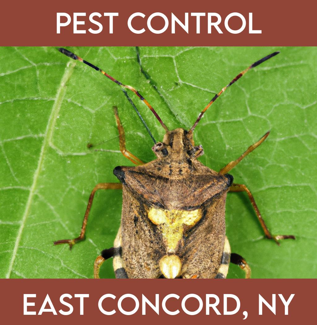 pest control in East Concord New York