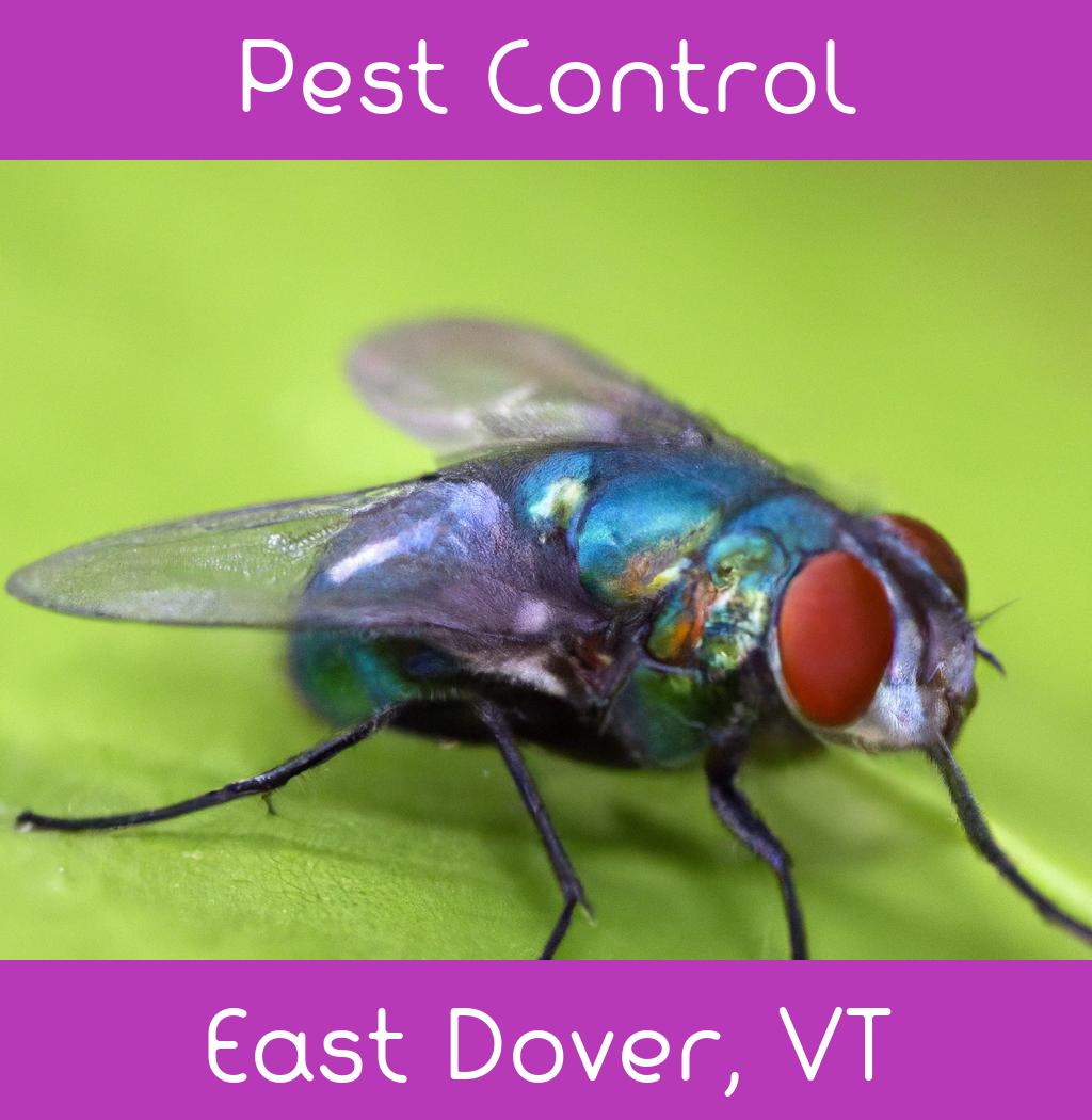 pest control in East Dover Vermont