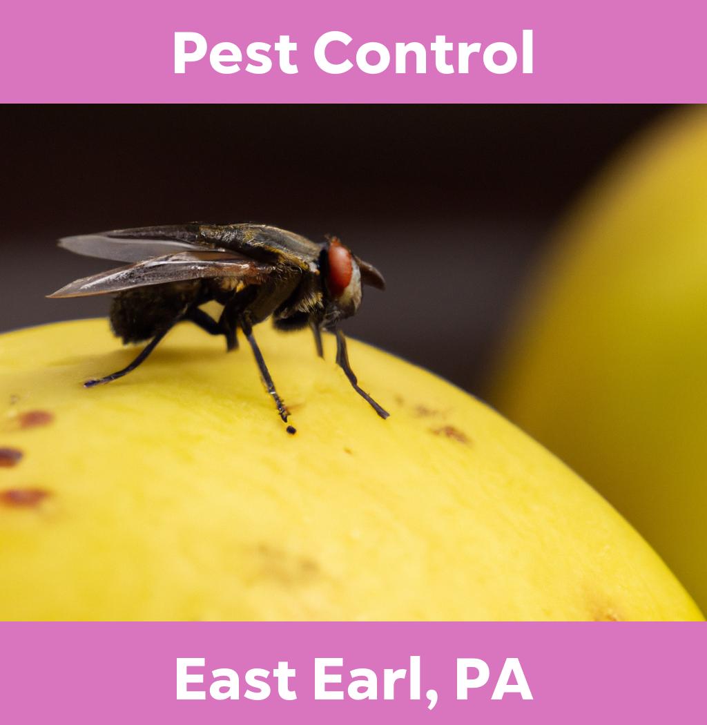 pest control in East Earl Pennsylvania