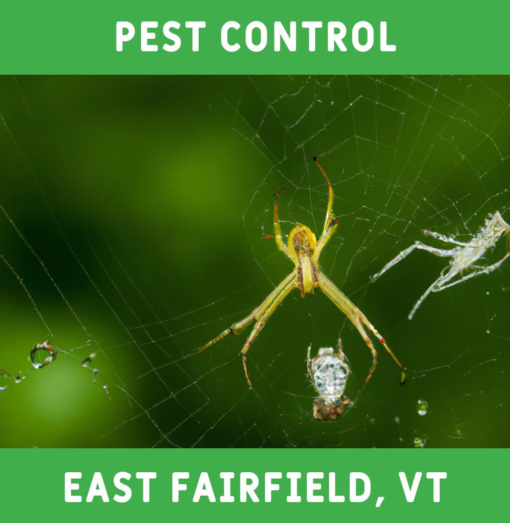 pest control in East Fairfield Vermont