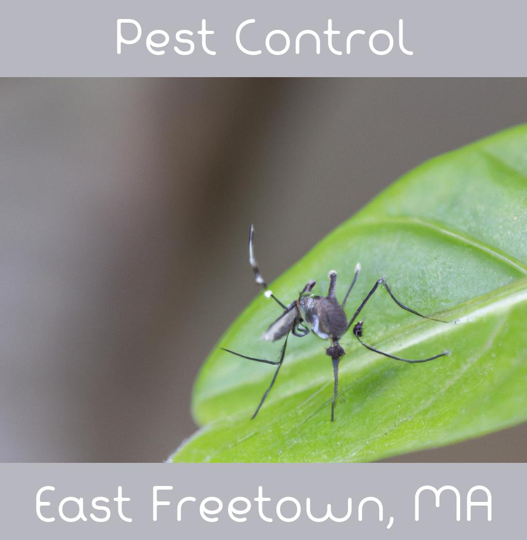 pest control in East Freetown Massachusetts