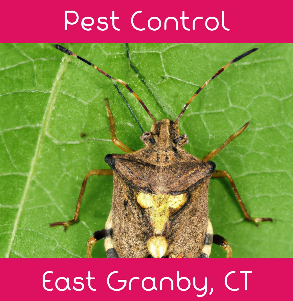 pest control in East Granby Connecticut