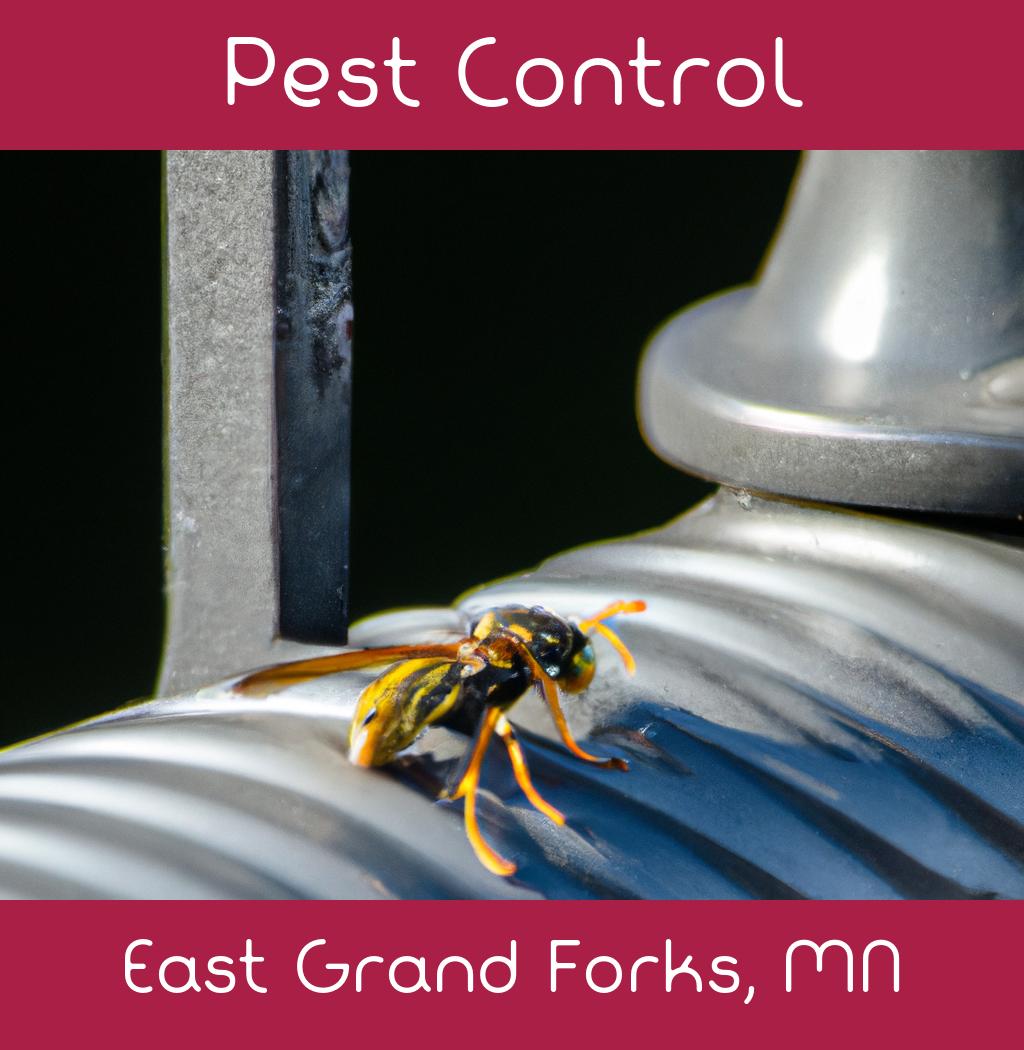 pest control in East Grand Forks Minnesota