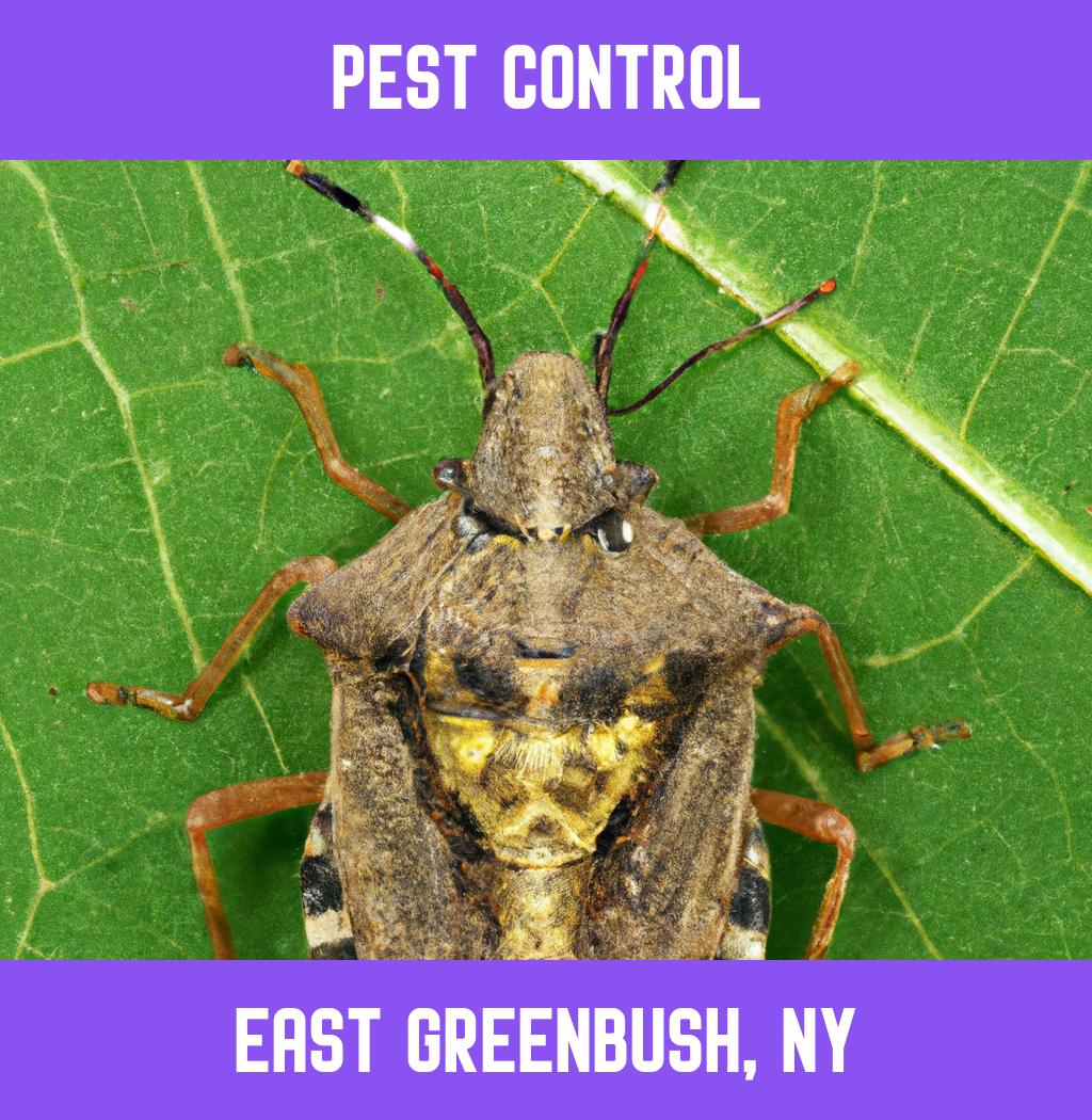 pest control in East Greenbush New York