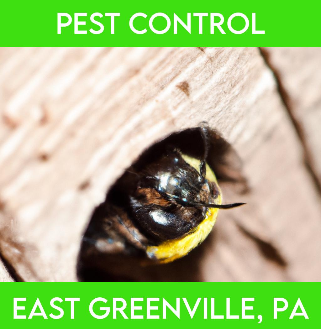pest control in East Greenville Pennsylvania