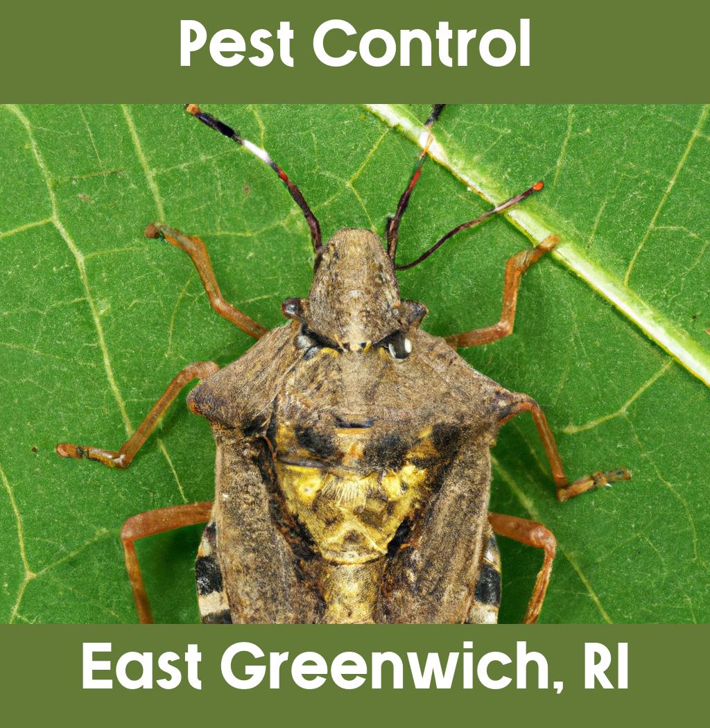 pest control in East Greenwich Rhode Island