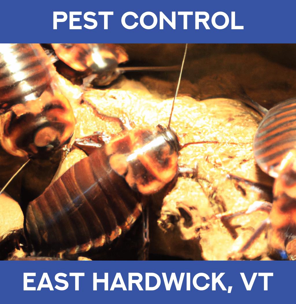 pest control in East Hardwick Vermont
