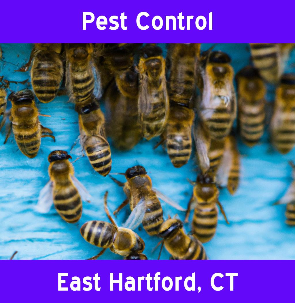 pest control in East Hartford Connecticut