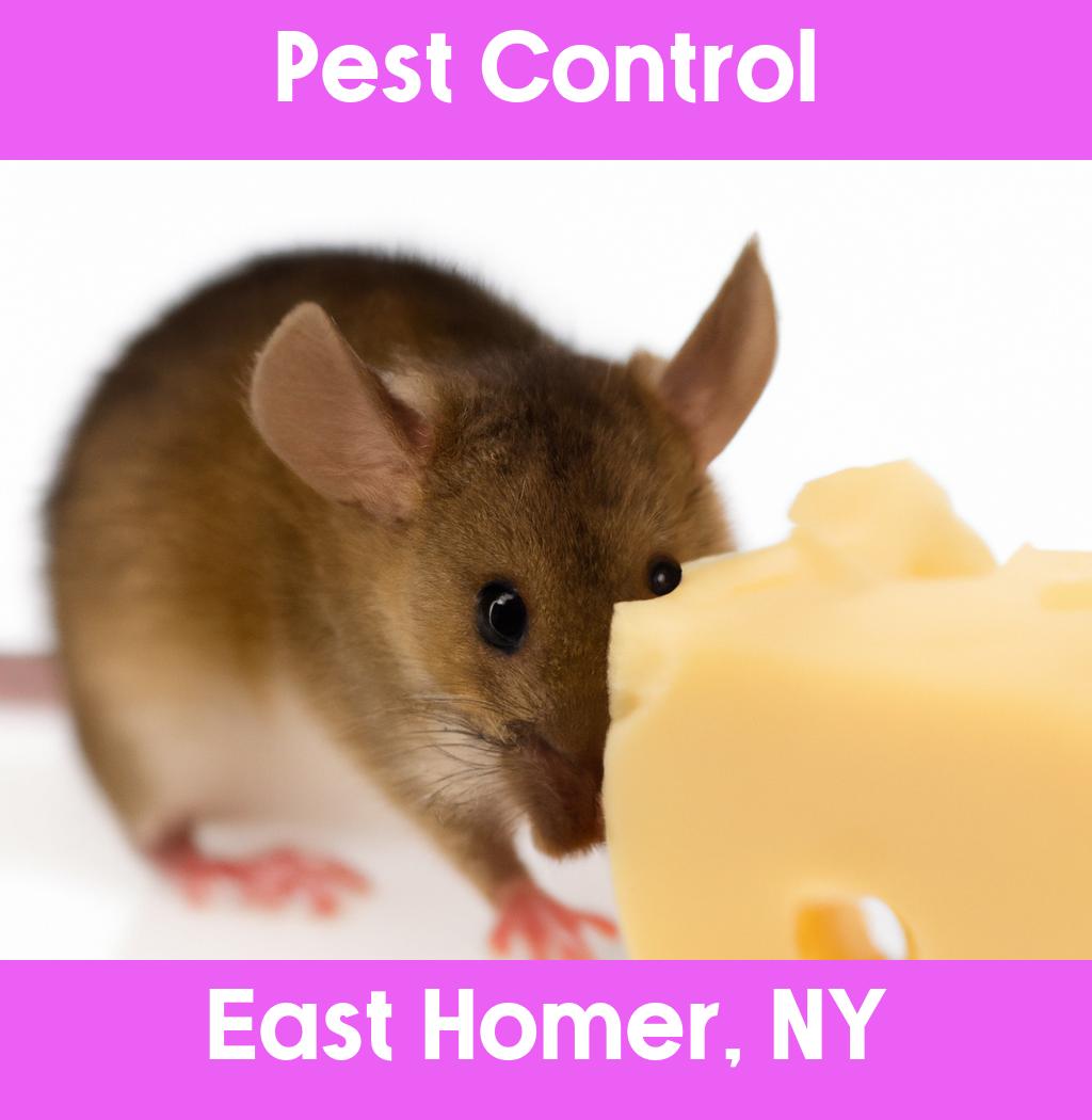 pest control in East Homer New York