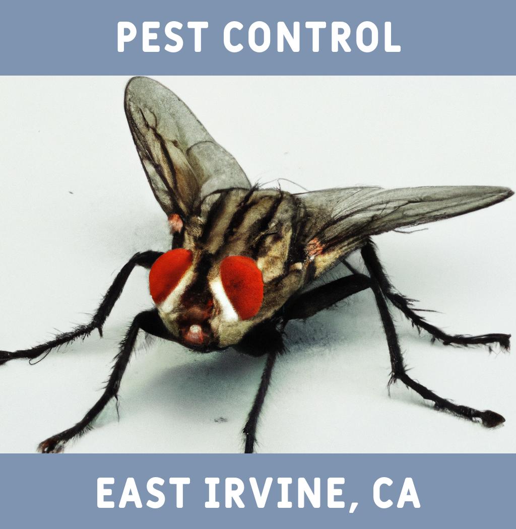 pest control in East Irvine California