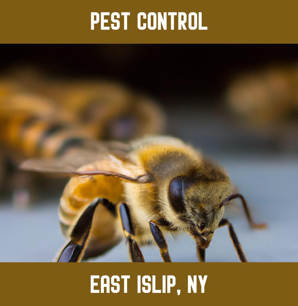 pest control in East Islip New York