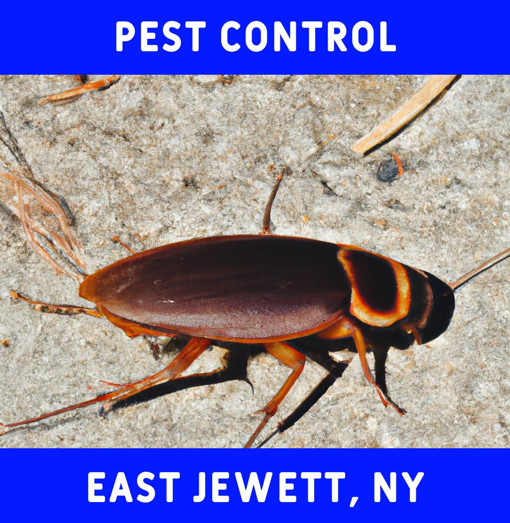 pest control in East Jewett New York
