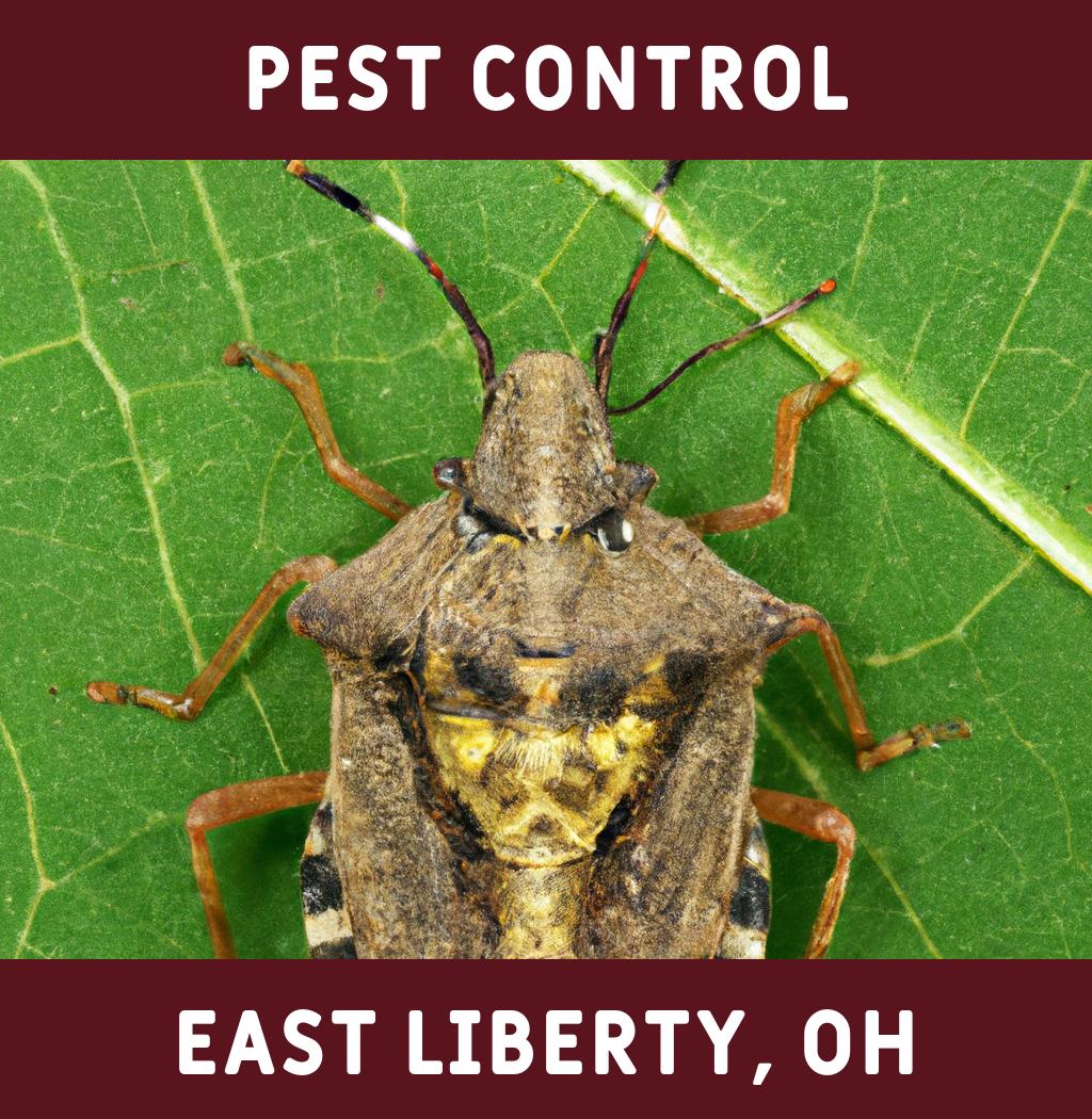 pest control in East Liberty Ohio