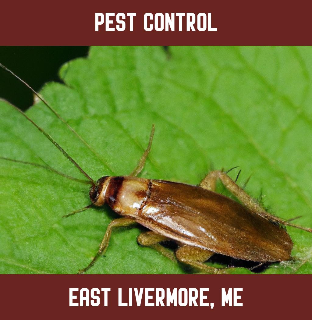 pest control in East Livermore Maine