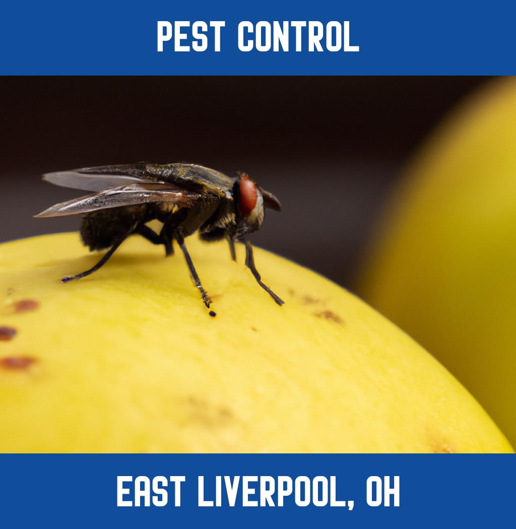 pest control in East Liverpool Ohio