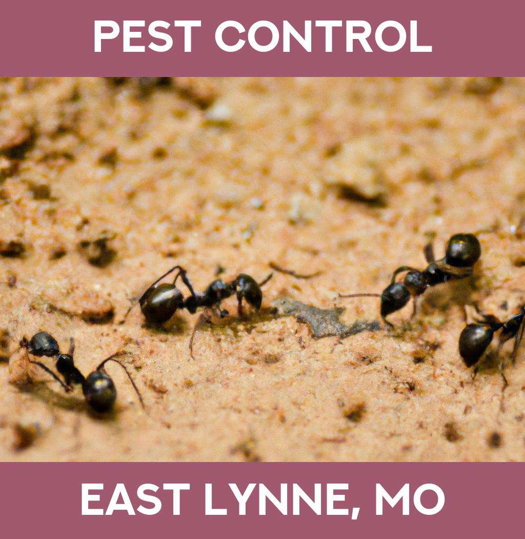 pest control in East Lynne Missouri