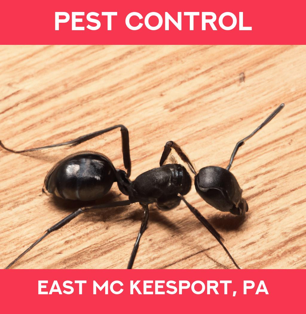 pest control in East Mc Keesport Pennsylvania