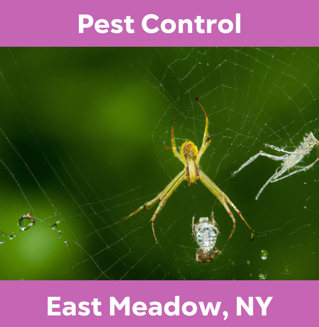 pest control in East Meadow New York