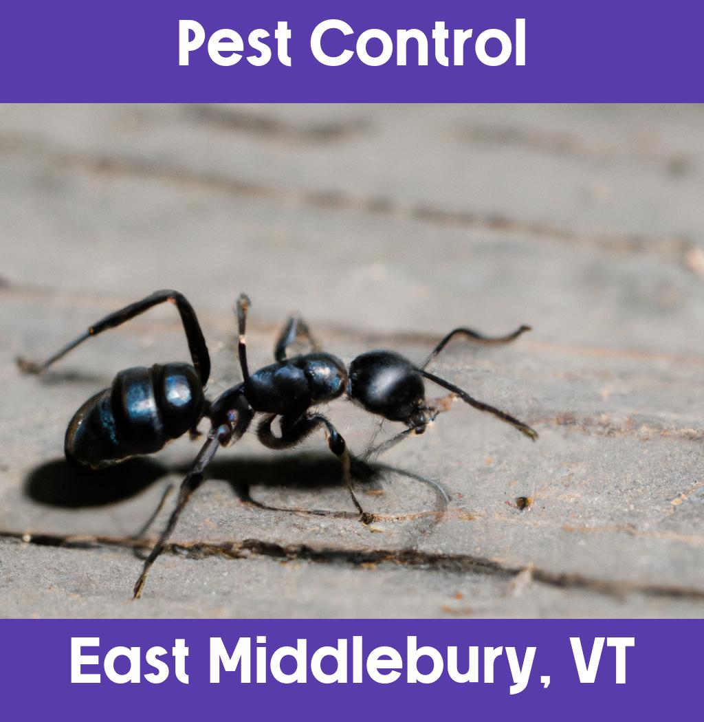 pest control in East Middlebury Vermont