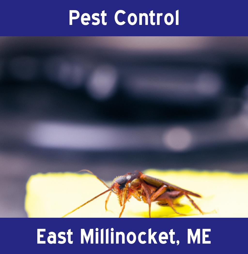 pest control in East Millinocket Maine