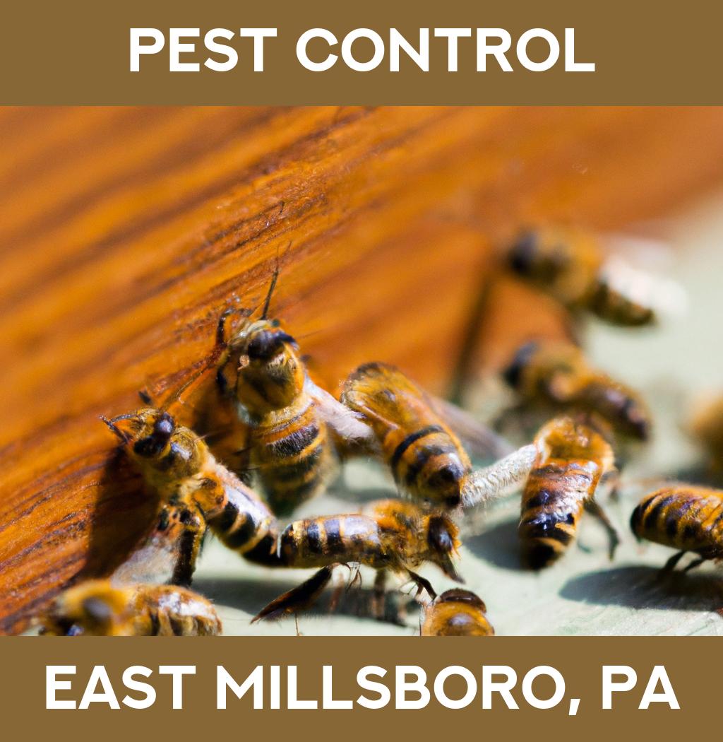 pest control in East Millsboro Pennsylvania