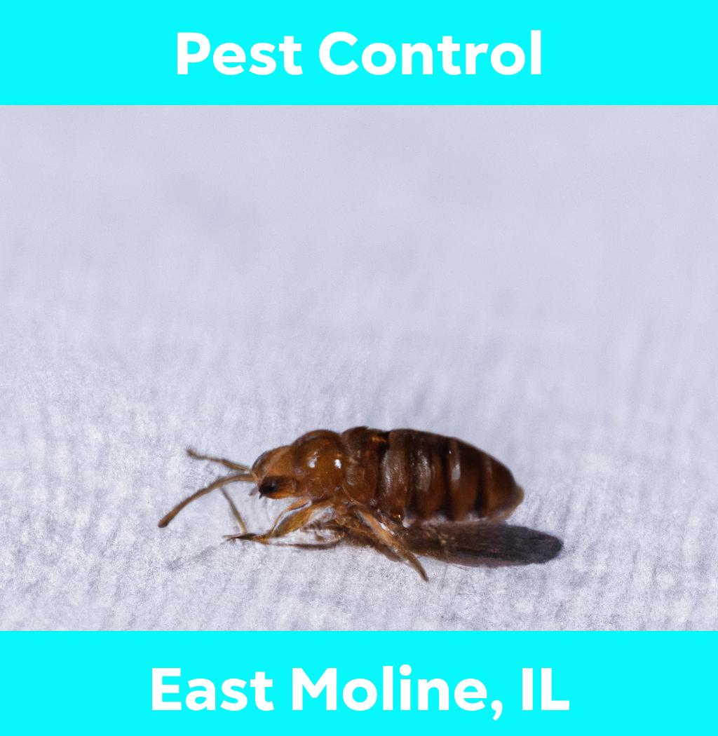 pest control in East Moline Illinois