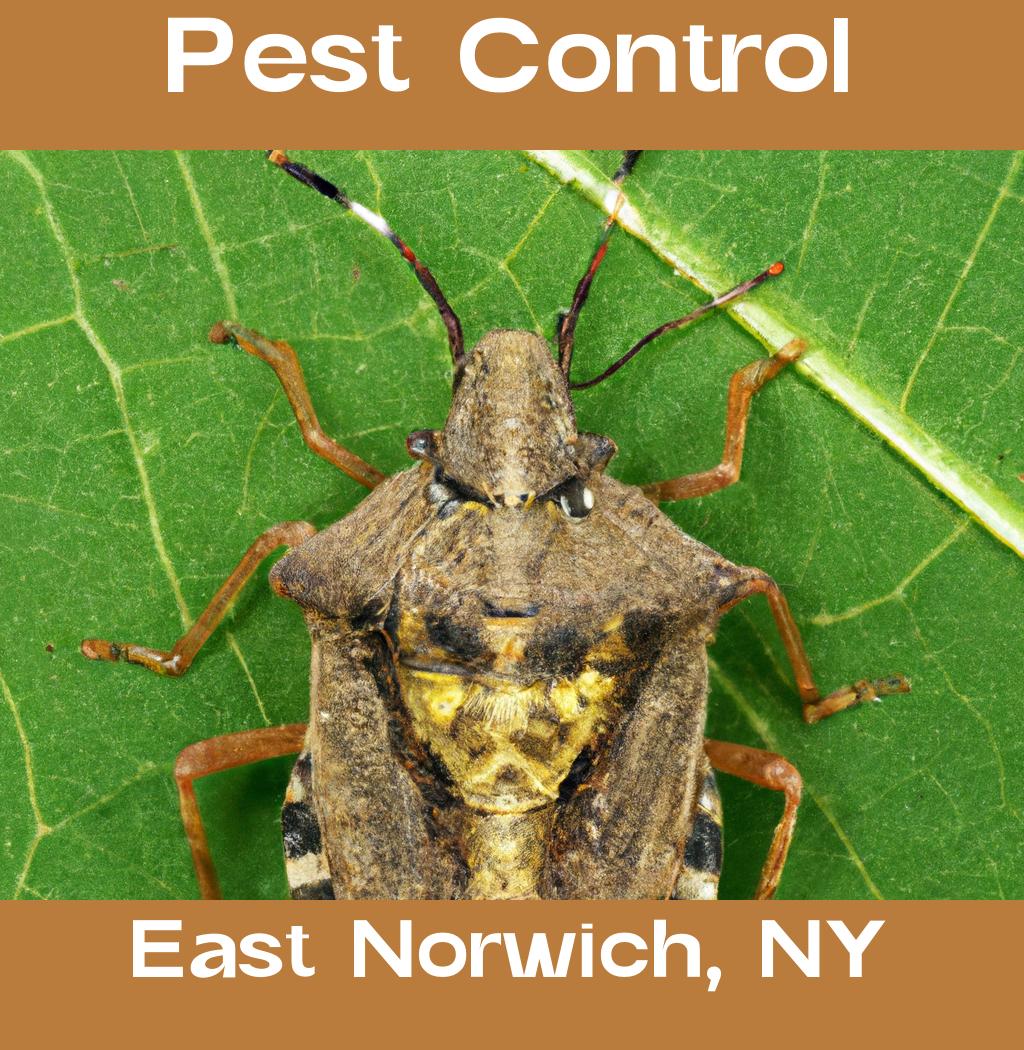 pest control in East Norwich New York