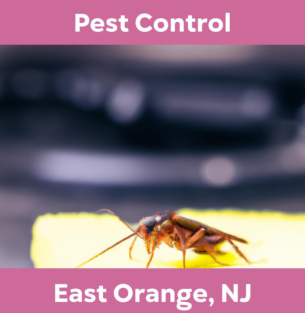 pest control in East Orange New Jersey