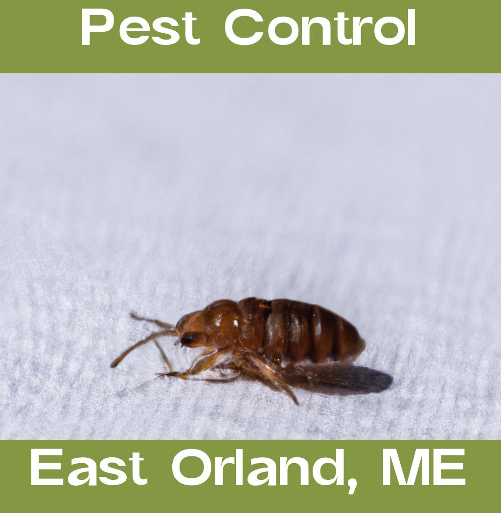 pest control in East Orland Maine