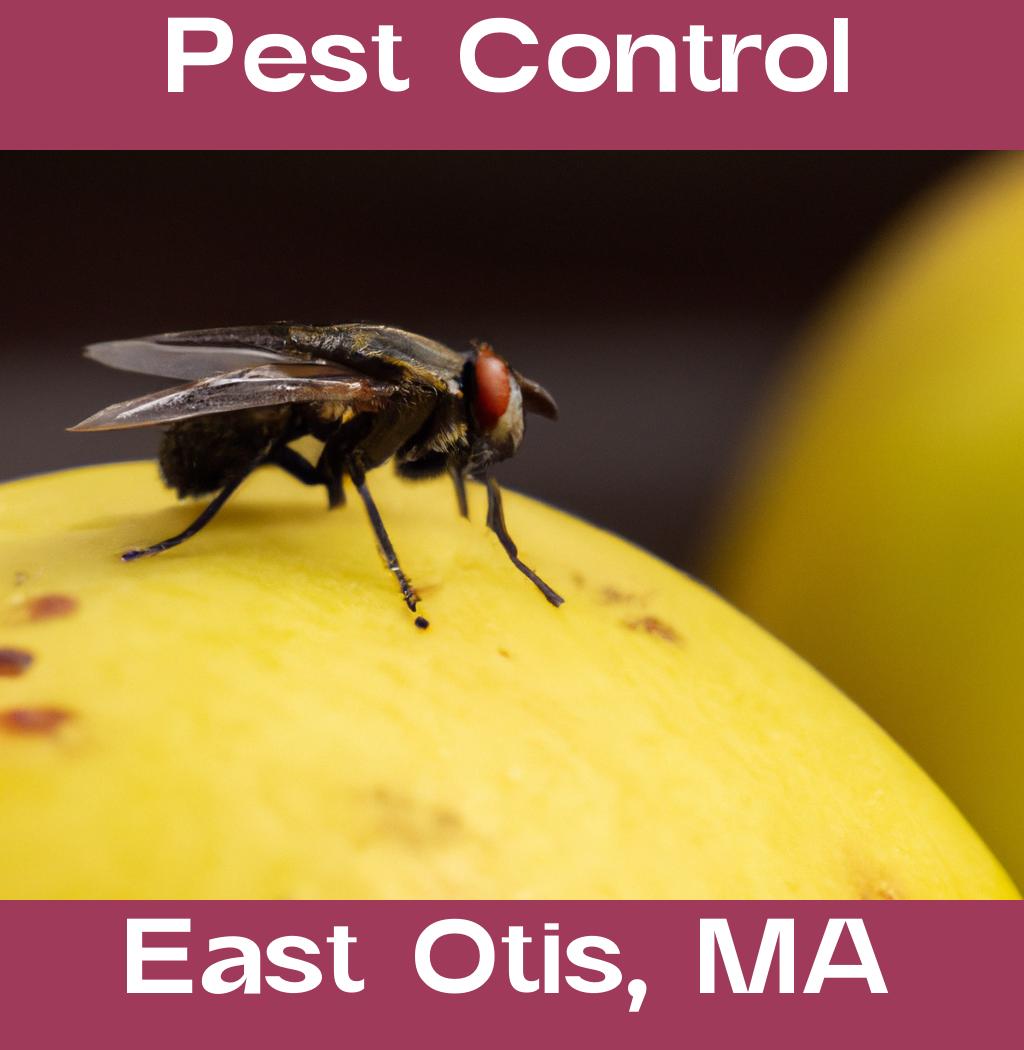 pest control in East Otis Massachusetts