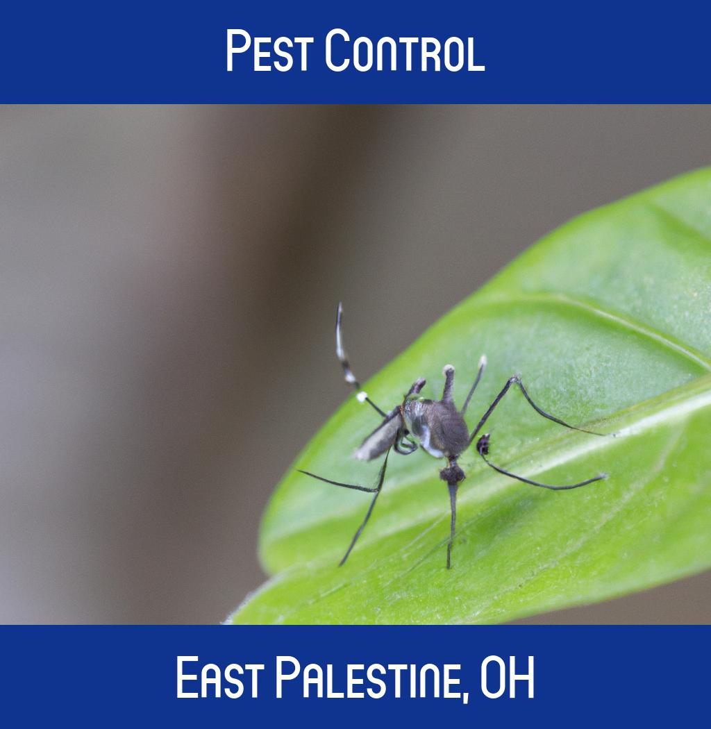 pest control in East Palestine Ohio