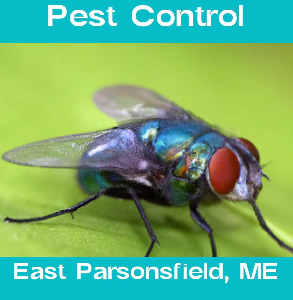 pest control in East Parsonsfield Maine