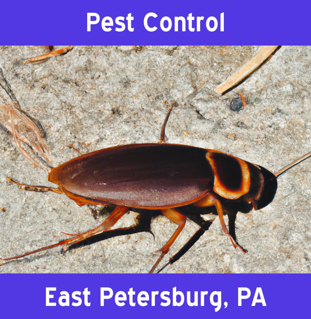 pest control in East Petersburg Pennsylvania