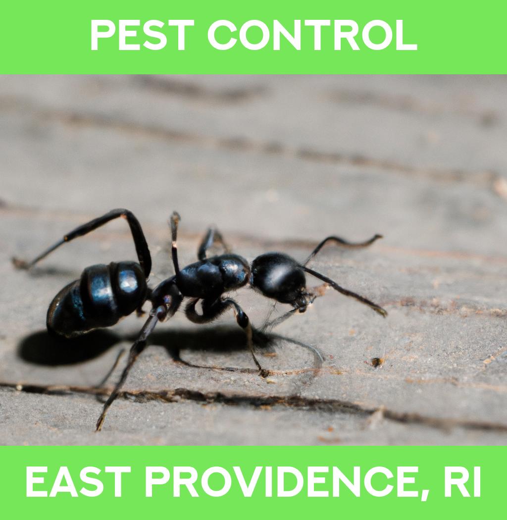pest control in East Providence Rhode Island
