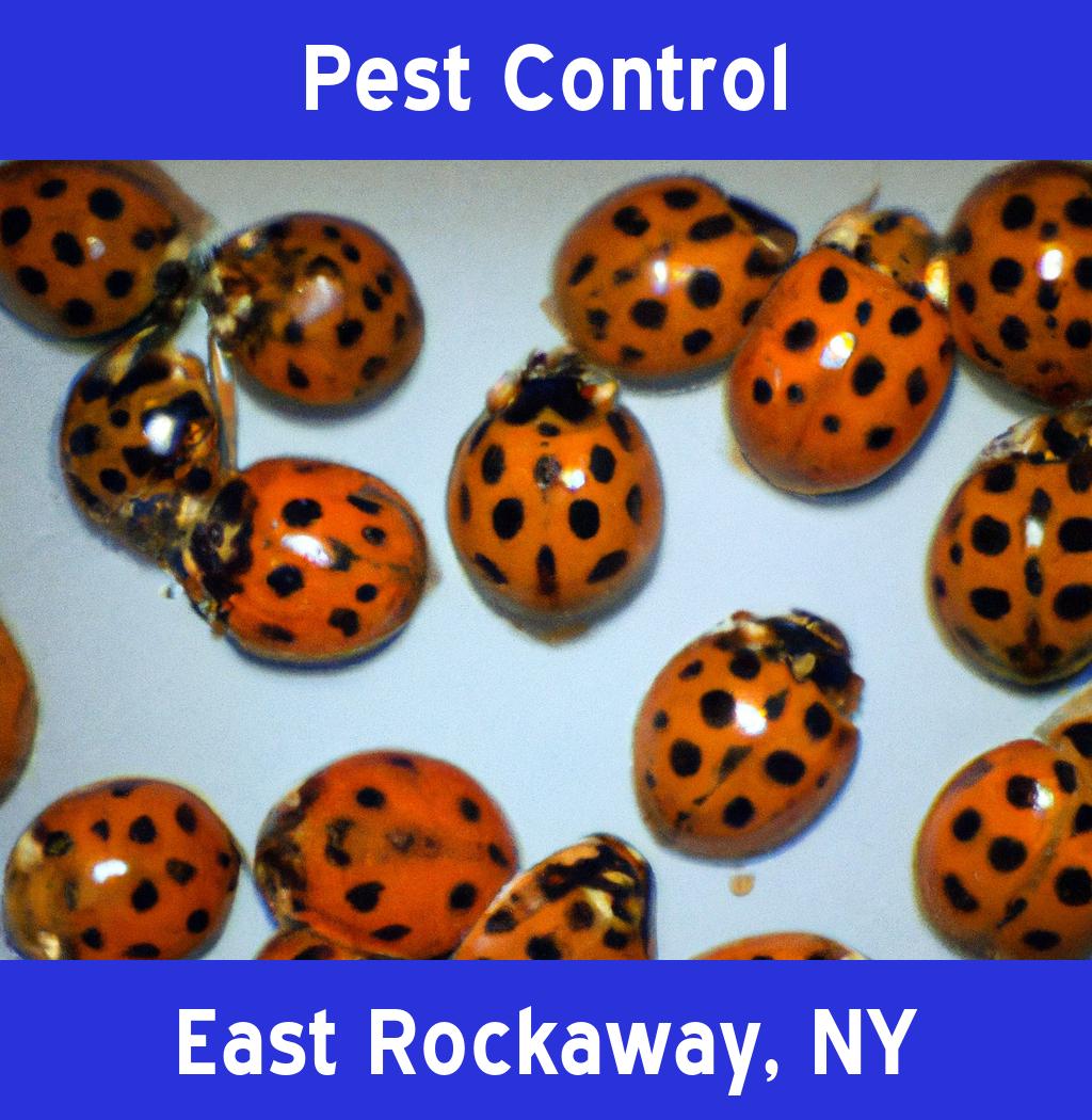 pest control in East Rockaway New York