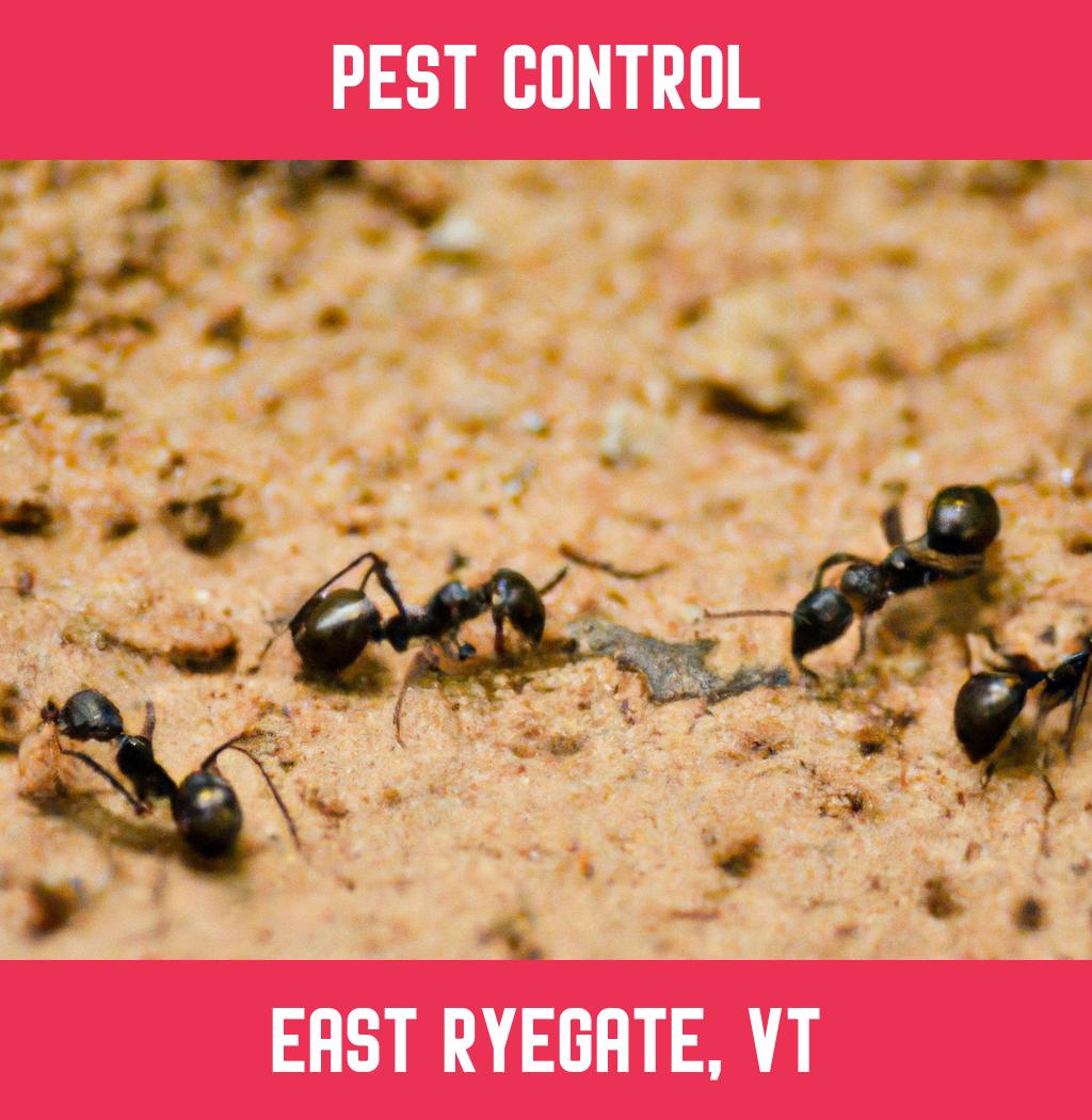 pest control in East Ryegate Vermont