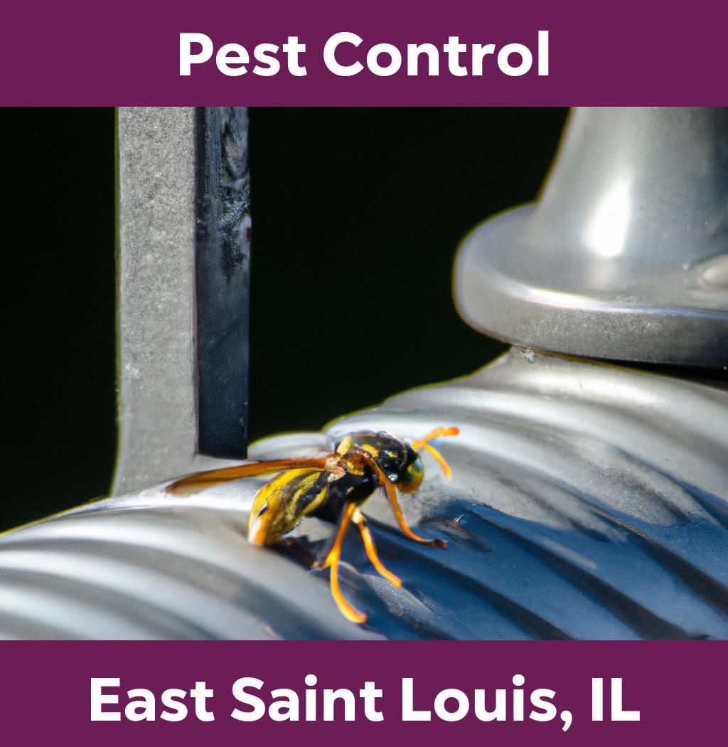 pest control in East Saint Louis Illinois