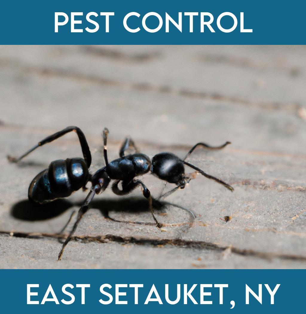 pest control in East Setauket New York