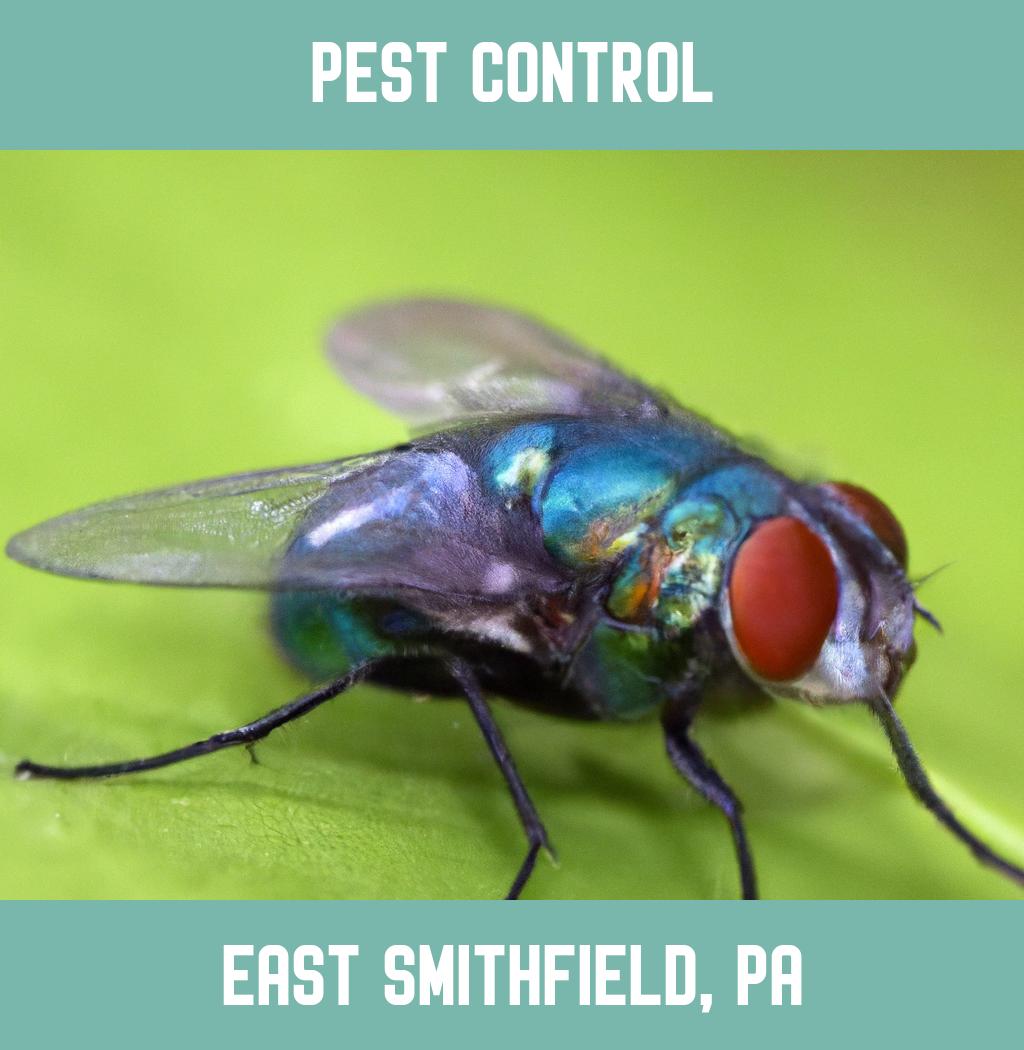 pest control in East Smithfield Pennsylvania