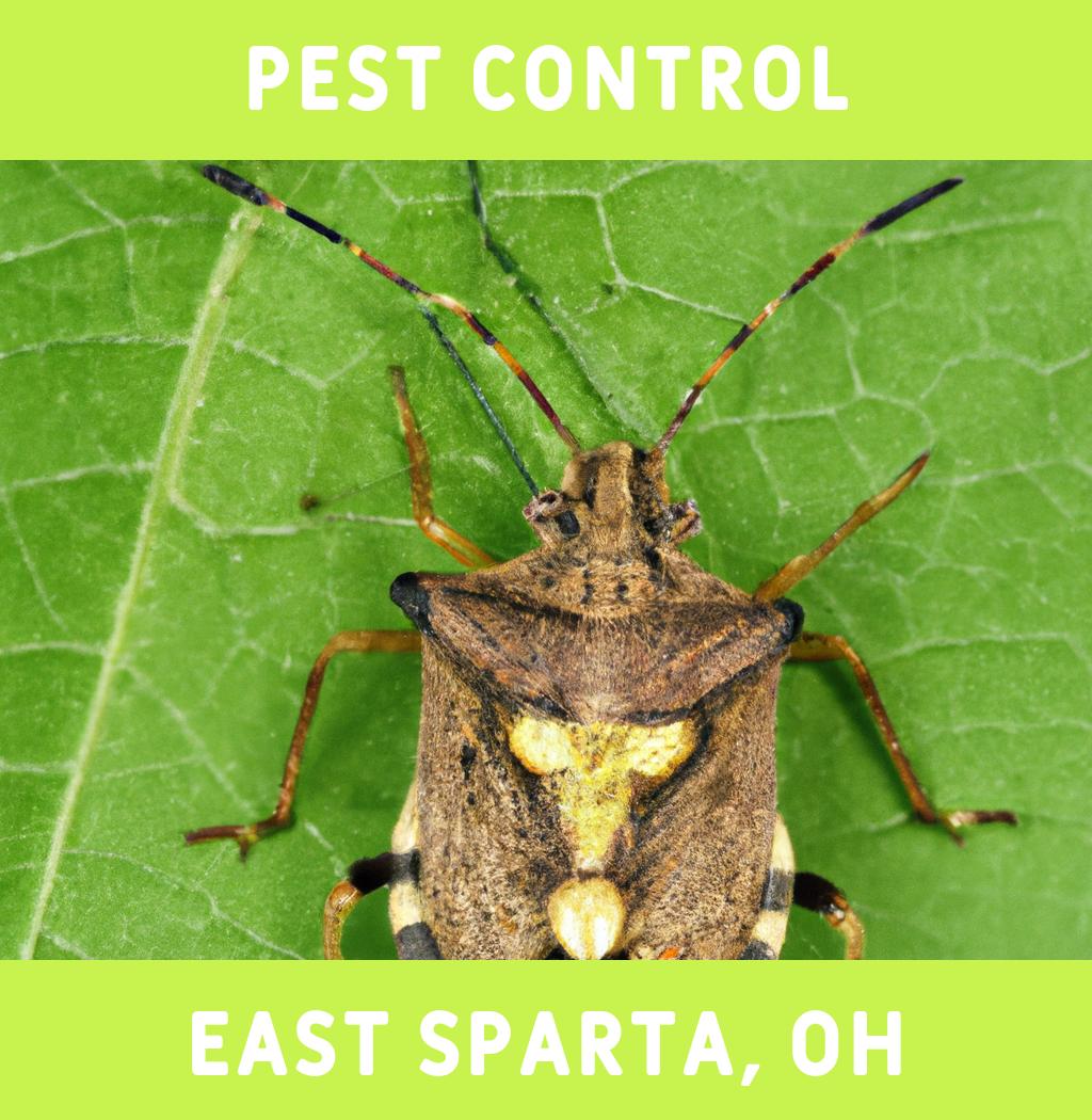 pest control in East Sparta Ohio