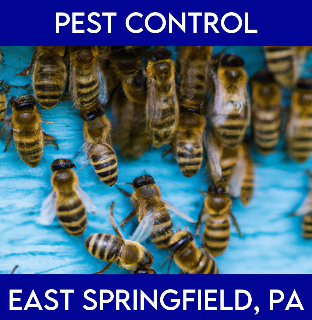 pest control in East Springfield Pennsylvania