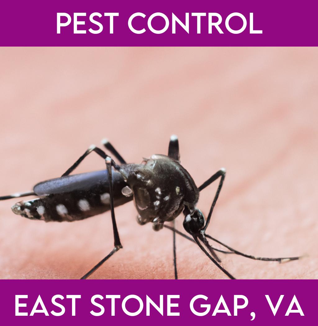pest control in East Stone Gap Virginia