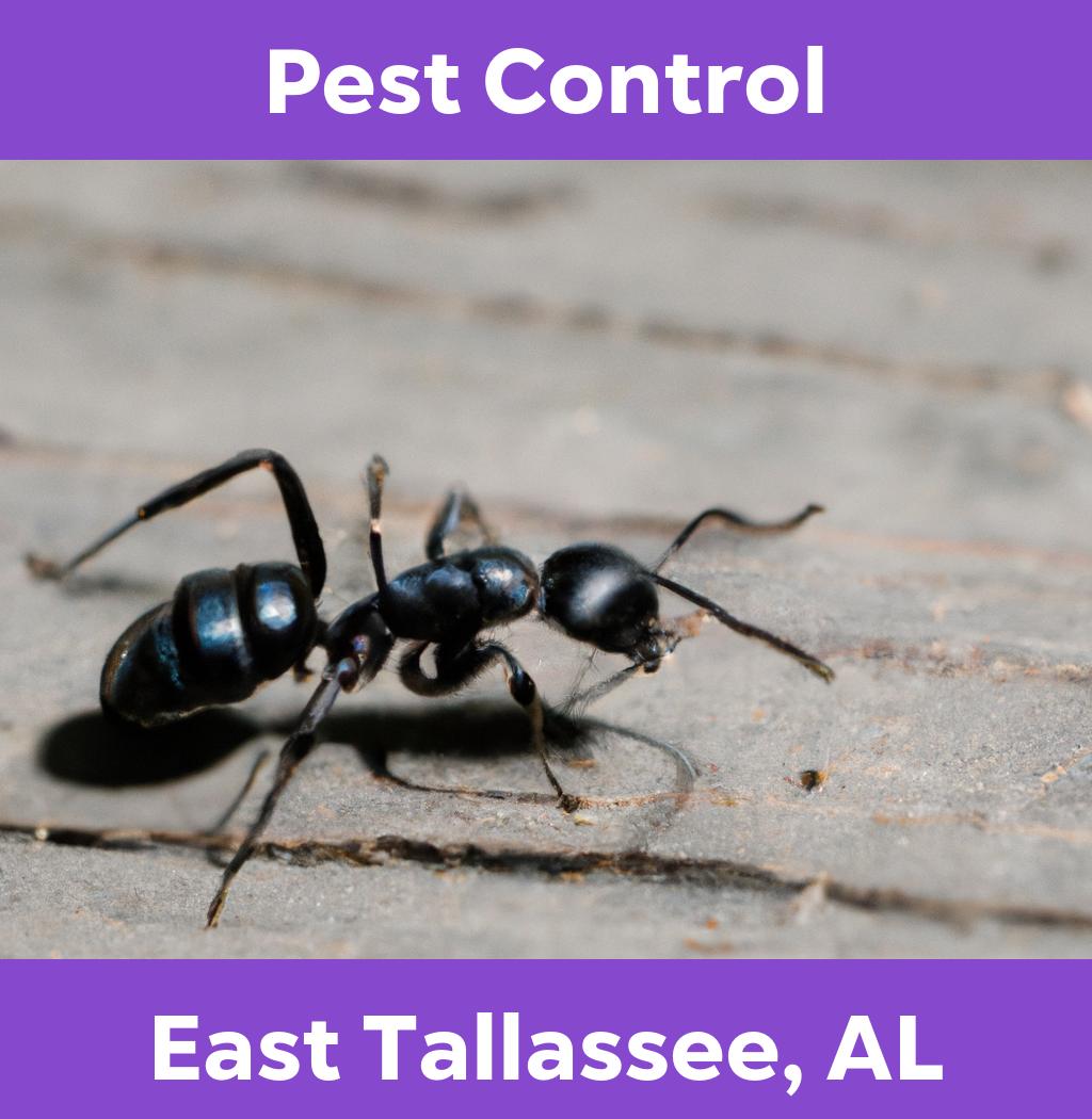 pest control in East Tallassee Alabama