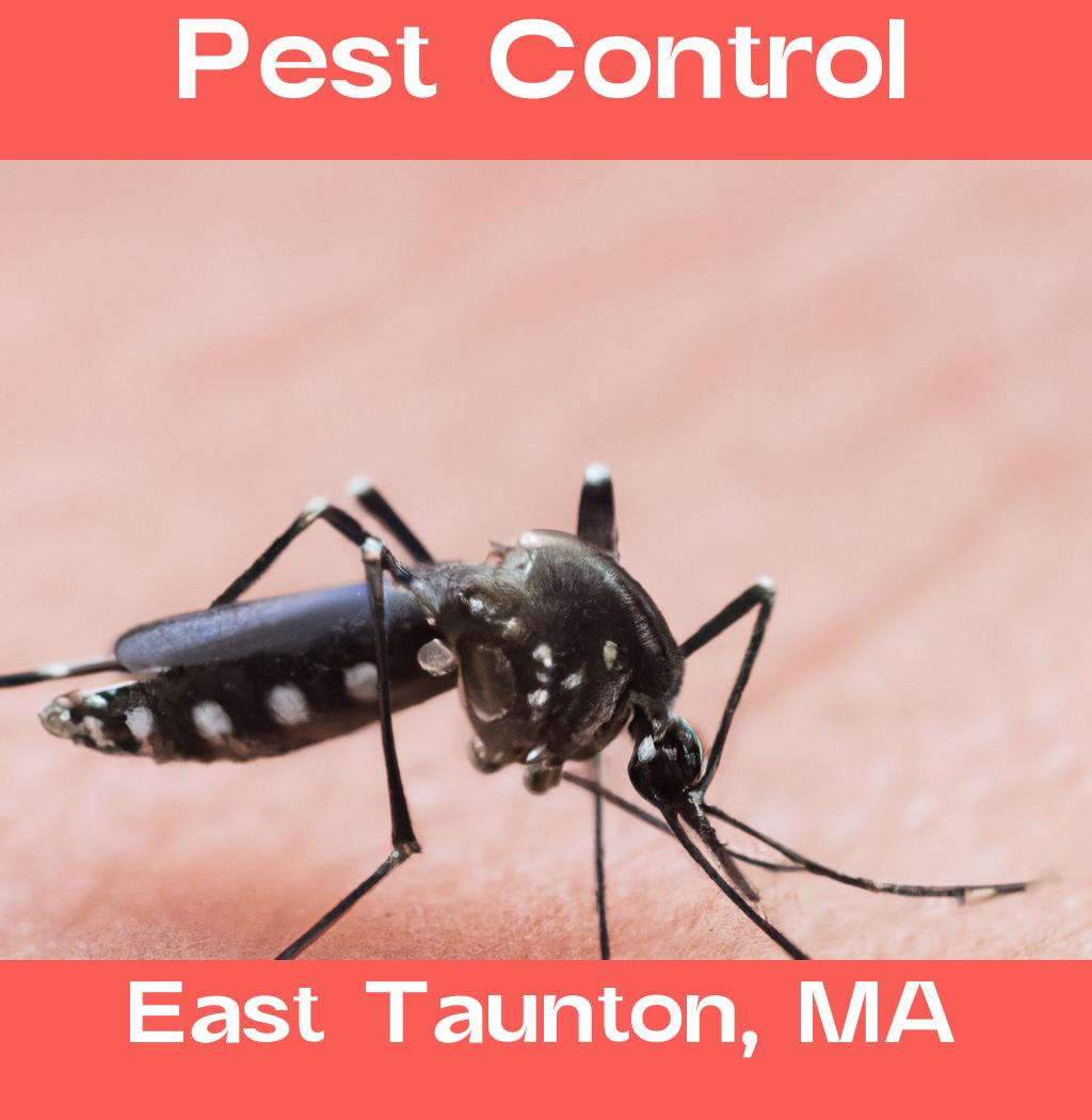 pest control in East Taunton Massachusetts