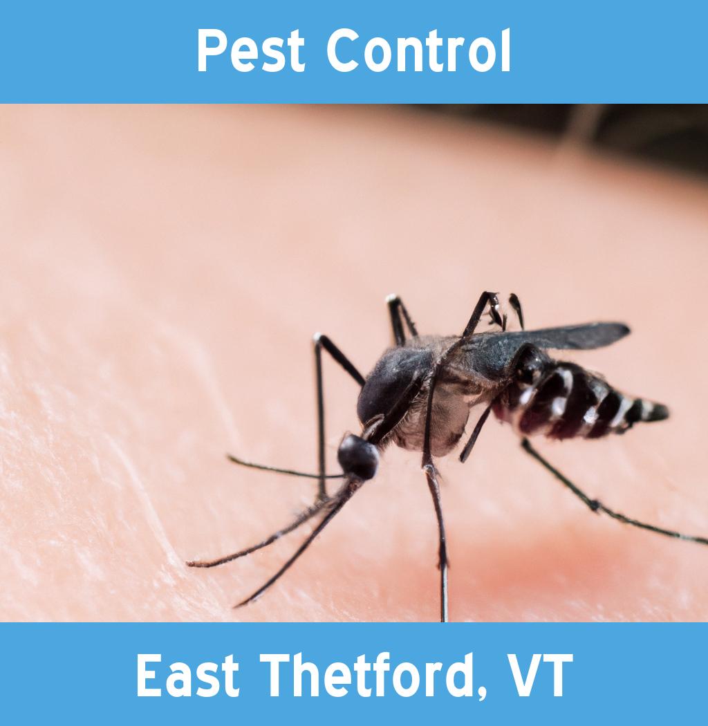 pest control in East Thetford Vermont