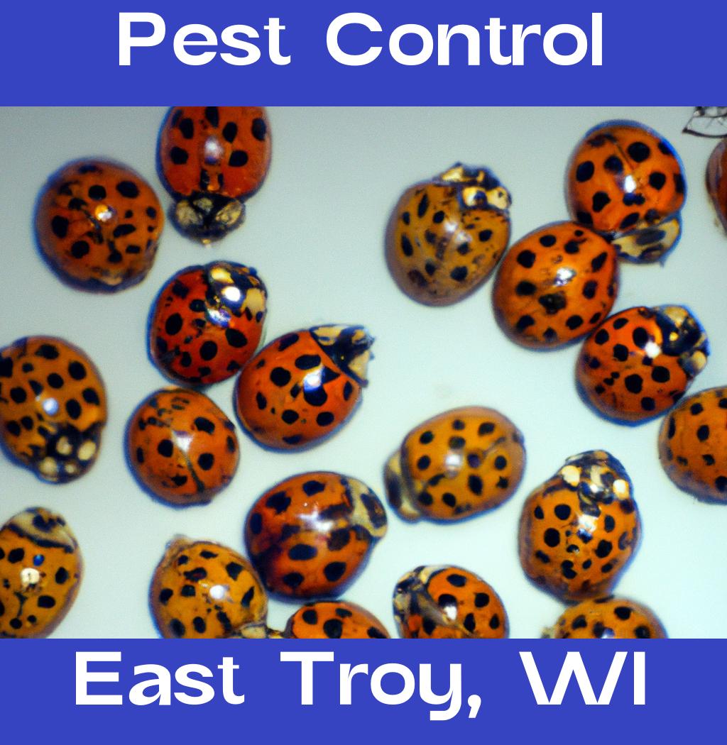 pest control in East Troy Wisconsin