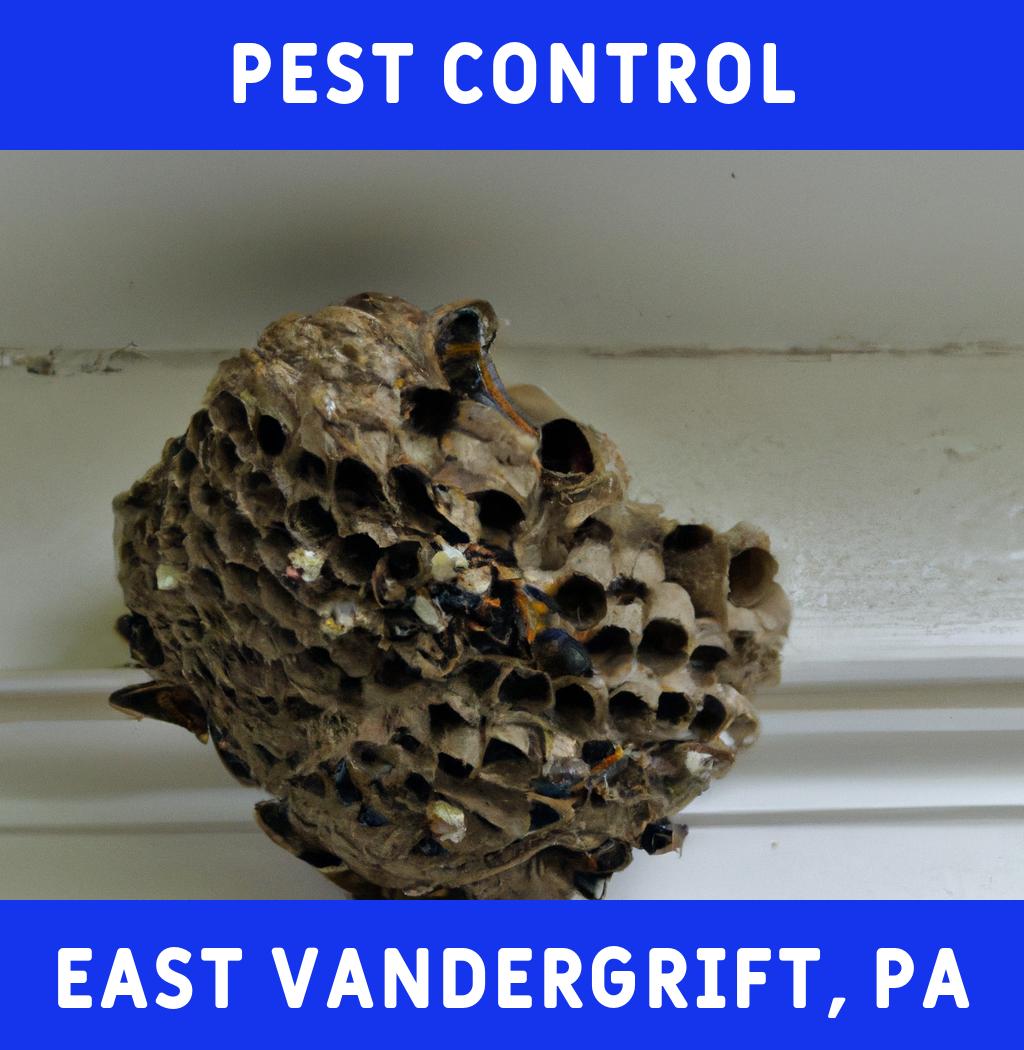 pest control in East Vandergrift Pennsylvania