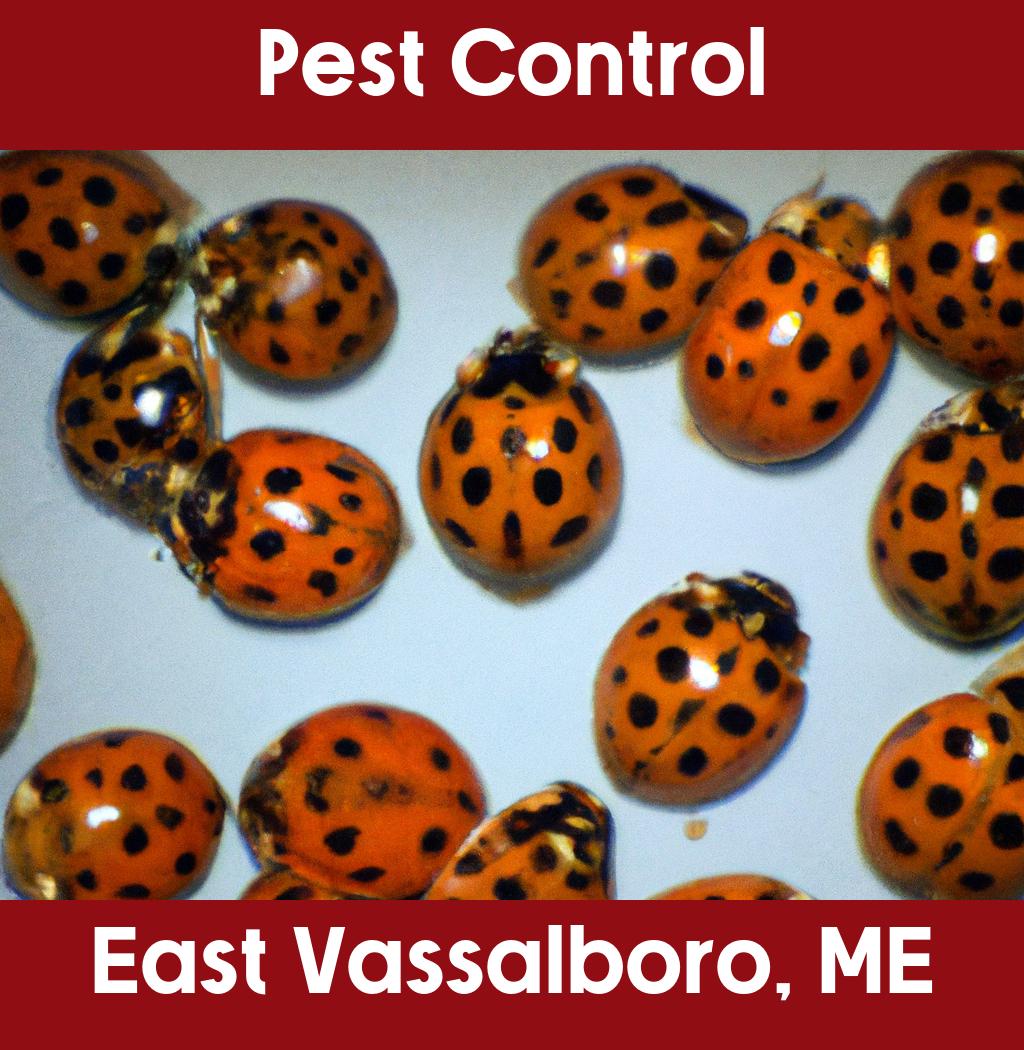 pest control in East Vassalboro Maine