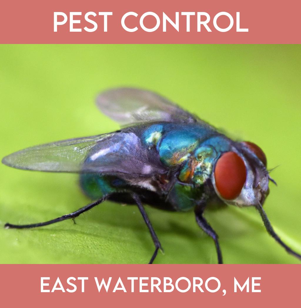 pest control in East Waterboro Maine