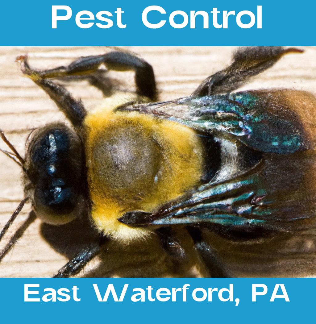 pest control in East Waterford Pennsylvania